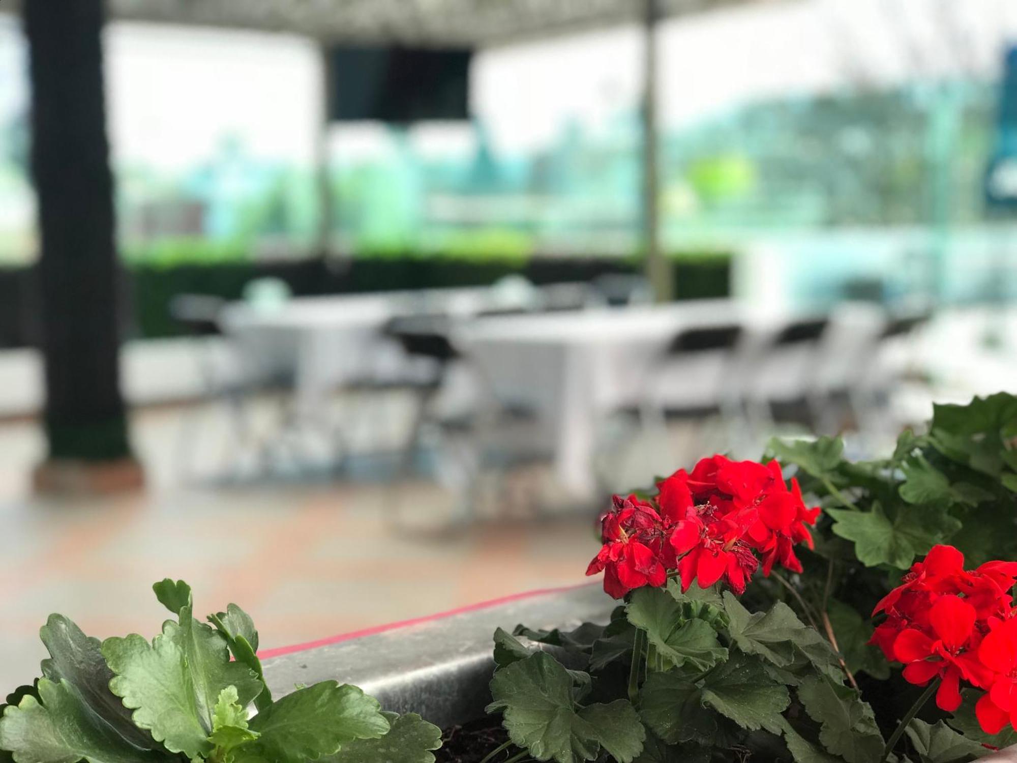 Hotel Malinalli 우아만틀라 외부 사진